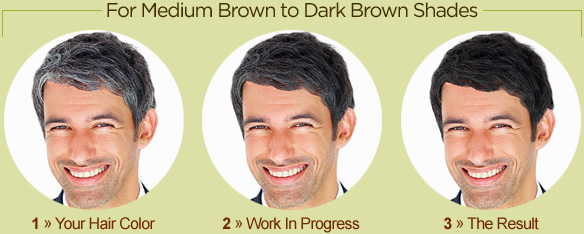 Gray Blending for Medium Brown to Dark Brown Shades
