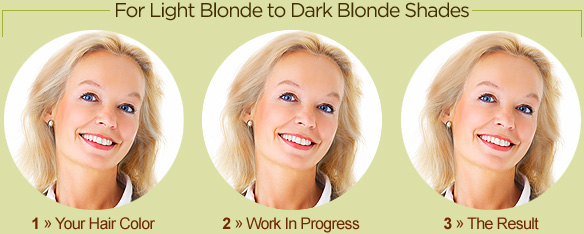 Gray Blending for Light Blonde to Dark Blonde Shades