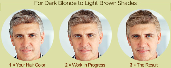 Gray Blending for Dark Blonde to Light Brown Shades